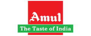 Logo of Anadh Engineers client company 5